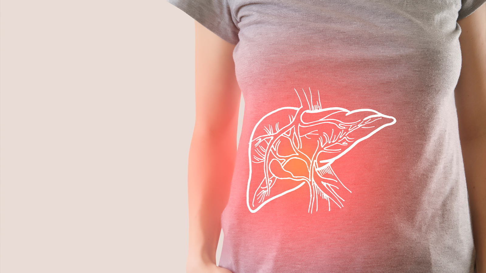 Active Liver™ 13 Illustratsioon naise kehasse paigutatud maksast, mis näitab selle asukohta.