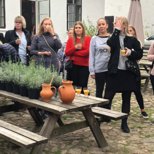 Herbal Schools 32 Inimesed, kes osalevad taimeteaduse kooli üritusel, õpivad taimi tundma ja tegelevad nendega.
