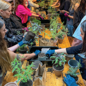 Herbal Schools 9 Inimesed tegelevad aiandusega ja katsetavad maitsetaimedega maitsetaimekooli üritusel, õppides taimede hooldamist ja kasutamisvõimalusi.