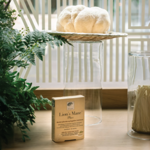 Herbal Schools 14 Taimeteaduse kooli üritusel tutvustati uut toodet Nordic Lion’s Mane Plus™.